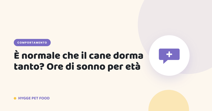 E normale che il cane dorma tanto? Ore di sonno per età - Hygge Pet Food