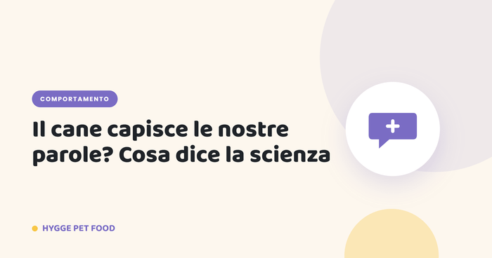 Il cane capisce le nostre parole? Cosa dice la scienza - Hygge Pet Food