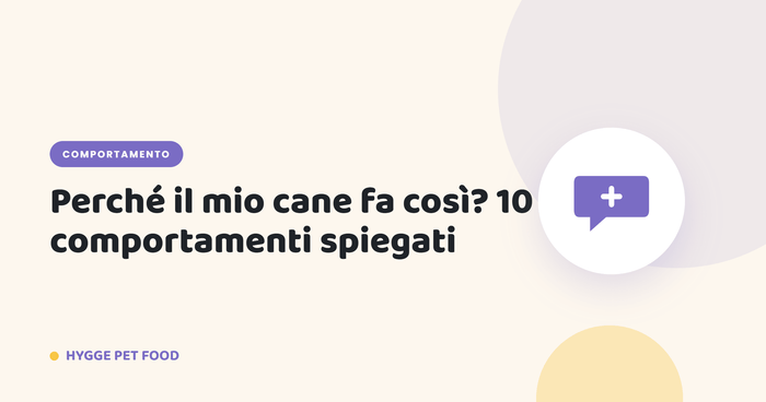 Perché il mio cane fa così? 10 comportamenti spiegati - Hygge Pet Food