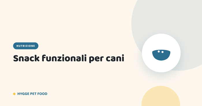 Snack funzionali per cani: premietti sani per pelo, articolazioni, calma e digestione - Hygge Pet Food