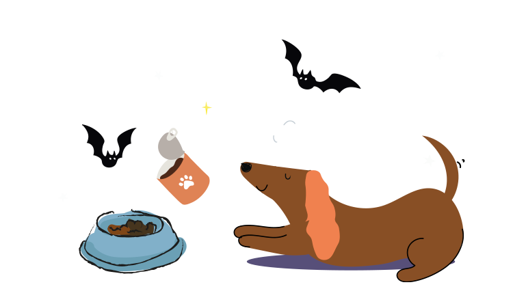 Cibo Umido Hygge Dog Senza Cereali Al Salmone – 12 Scatolette Da 400g, Monoproteico E Sostenibile - Foto 3