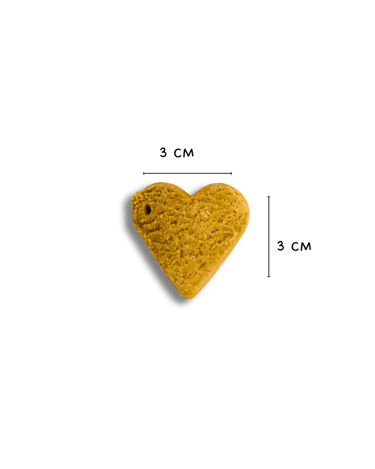 Biscotti semi - umidi Stay Energico - Snack e Biscotti Cane - Hygge Pet Food