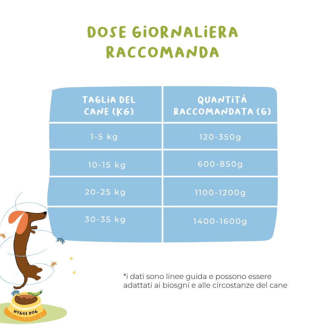 Box Pasti Stellari - Cibo Umido Cane - Hygge Pet Food