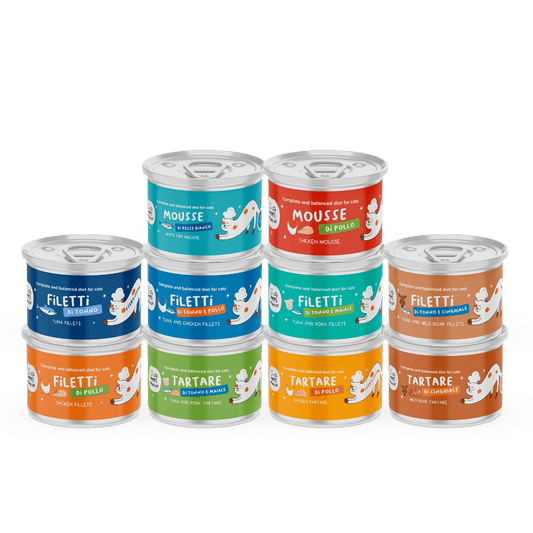 Box succulenti assaggi Alimenti completi per gatti - Box Succulenti Gatto - Hygge Pet Food