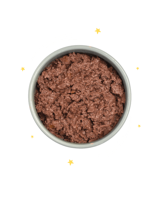 Monoproteico Cinghiale in umido con zucca arrostita - Cibo Umido Cane - Hygge Pet Food