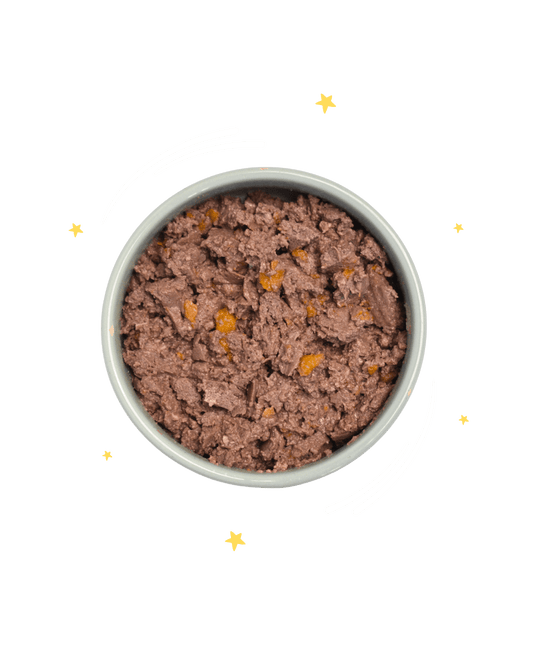 Monoproteico Delizioso maiale con zucca, mela e aloe - Cibo Umido Cane - Hygge Pet Food
