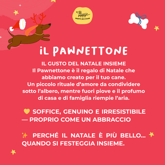 Paw nettone con mela e mirtilli - Snack e Biscotti Cane - Hygge Pet Food