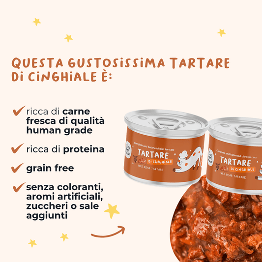 Tartare di Cinghiale Alimento completo per gatti - Cibo Umido Gatto - Hygge Pet Food