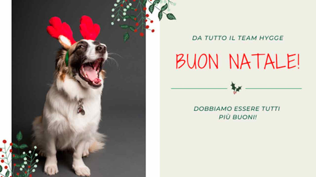 10 regali che non possono mancare sotto l'albero di Natale - Hygge Pet Food