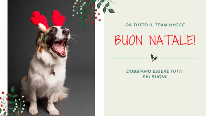 10 regali che non possono mancare sotto l'albero di Natale - Hygge Pet Food