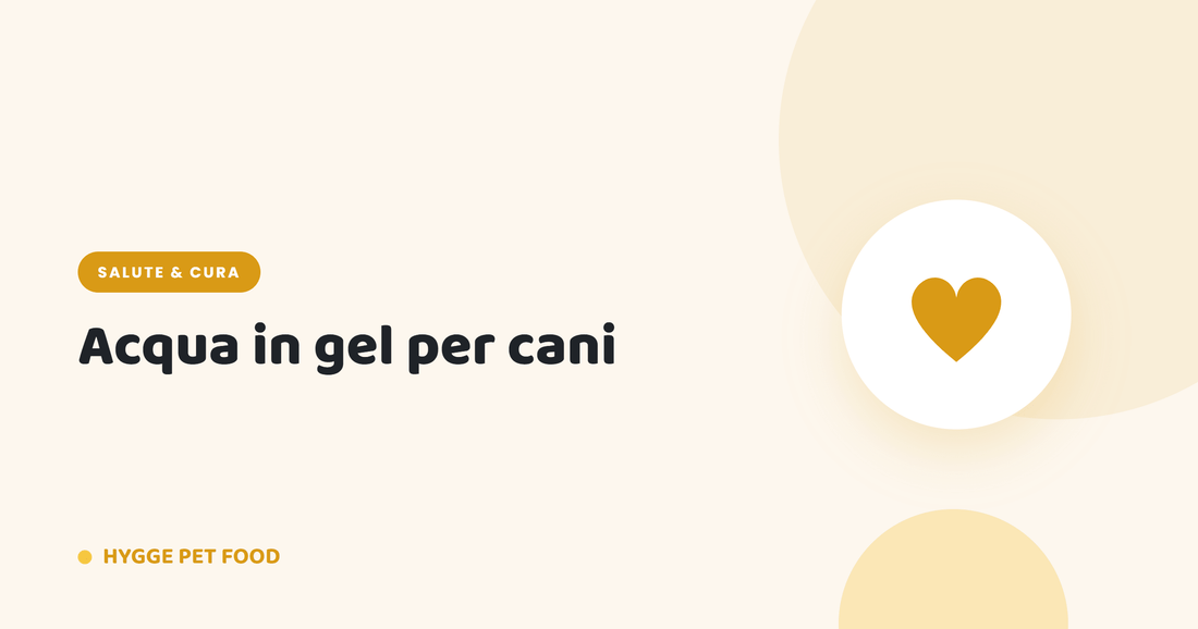 Acqua in gel per cani: cos'è, quando serve e come mantenere il cane idratato d'estate - Hygge Pet Food