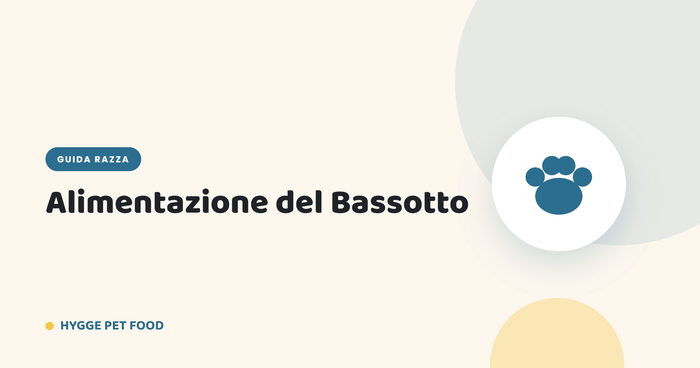 Alimentazione del Bassotto: crocchette per la schiena, controllo del peso e sensibilità - Hygge Pet Food