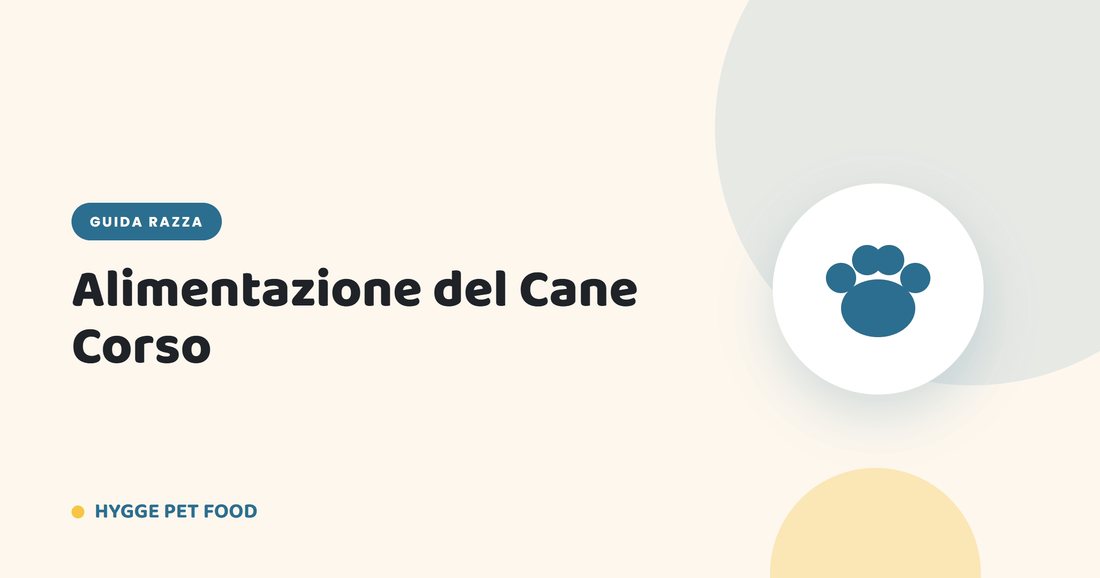 Alimentazione del Cane Corso: dieta per molossi, crescita controllata e articolazioni robuste - Hygge Pet Food
