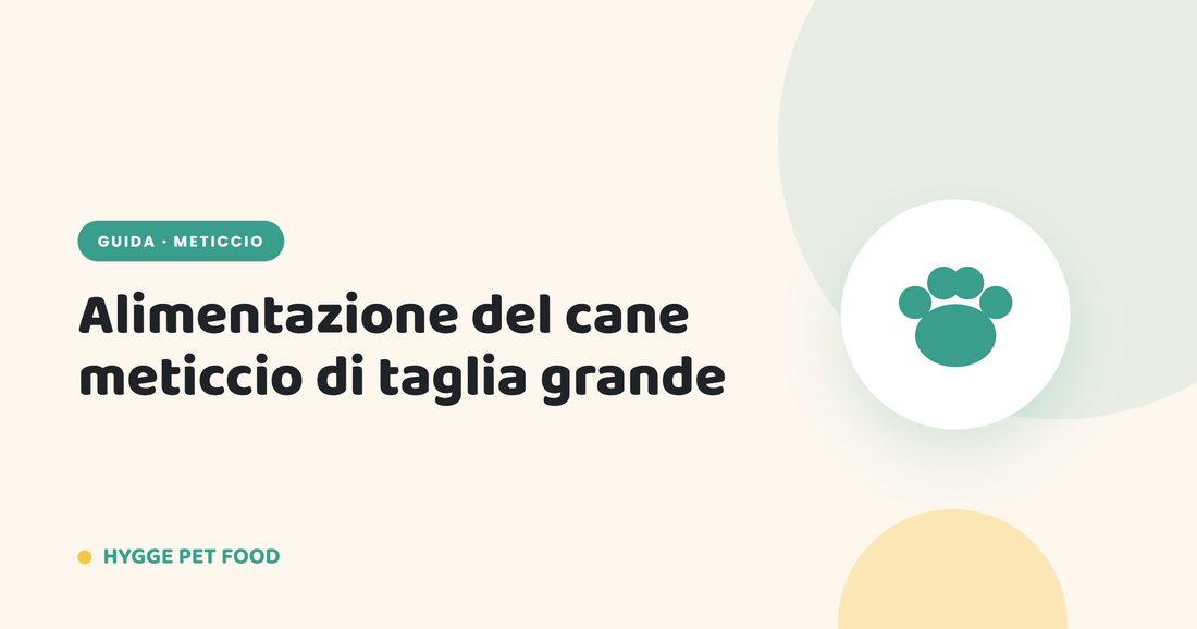 Alimentazione del cane meticcio di taglia grande: porzioni, calorie e articolazioni in salute - Hygge Pet Food
