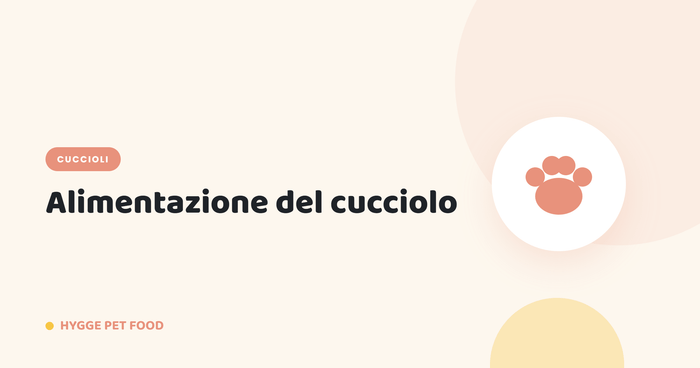 Alimentazione del cucciolo: guida completa allo svezzamento - Hygge Pet Food