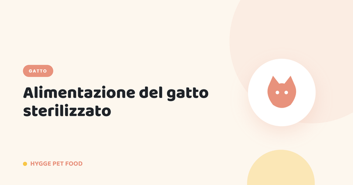 Alimentazione del gatto sterilizzato: come prevenire il sovrappeso con il cibo giusto - Hygge Pet Food