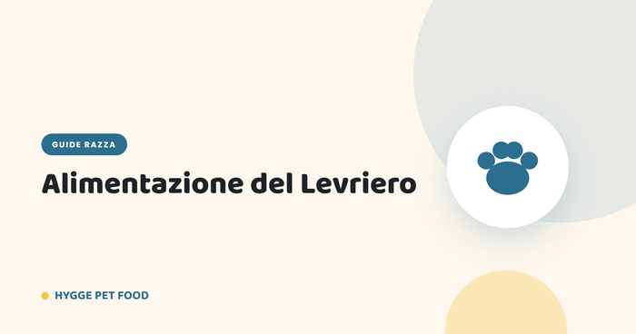 Alimentazione del Levriero: energia per un fisico atletico - Hygge Pet Food