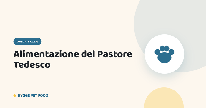 Alimentazione del Pastore Tedesco: crocchette per cani grandi, digestione e articolazioni - Hygge Pet Food
