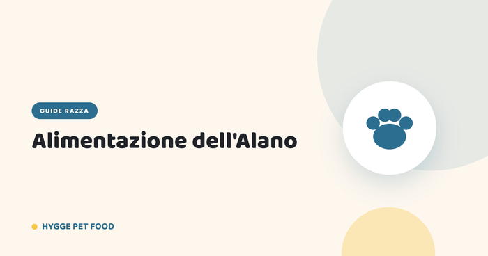 Alimentazione dell'Alano: gestire crescita e taglia gigante - Hygge Pet Food