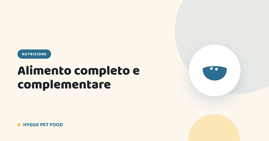 Alimento completo e complementare: qual e la differenza? - Hygge Pet Food