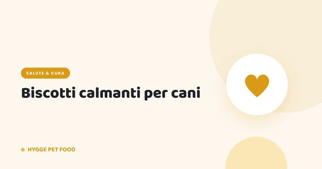 Biscotti calmanti per cani: funzionano davvero? Guida ai rimedi naturali per l'ansia del cane - Hygge Pet Food
