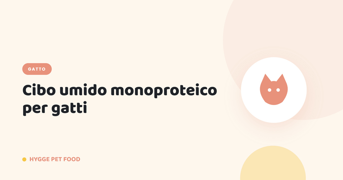 Cibo umido monoproteico per gatti: perché sceglierlo e quali ricette preferire - Hygge Pet Food