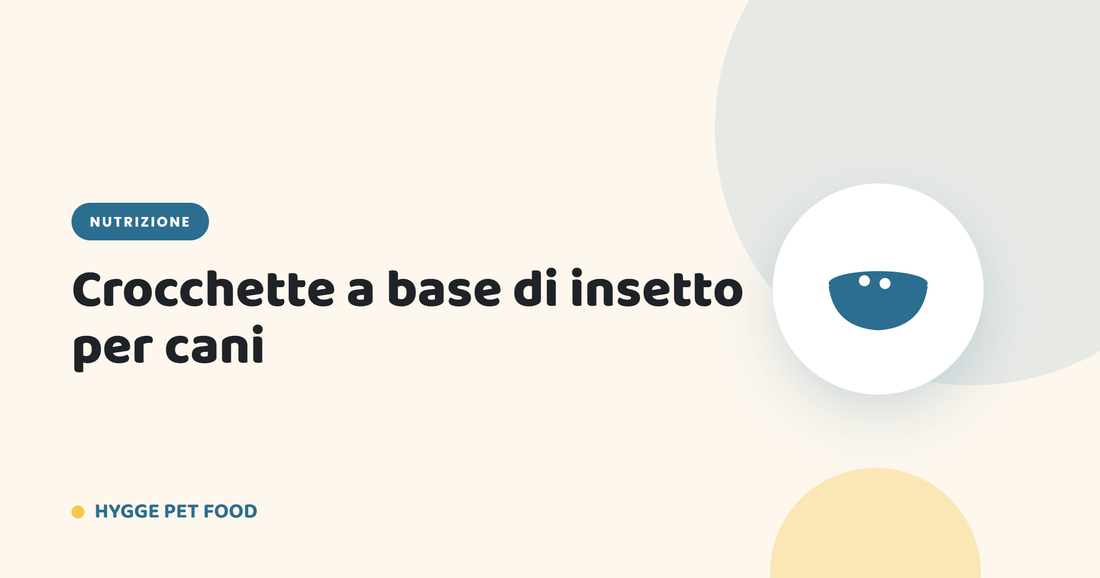 Crocchette a base di insetto per cani: la proteina del futuro per cani con sensibilità - Hygge Pet Food
