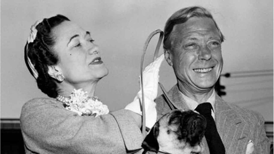 Edoardo VIII e Wallis: la passione reale per i Carlini - Hygge Pet Food