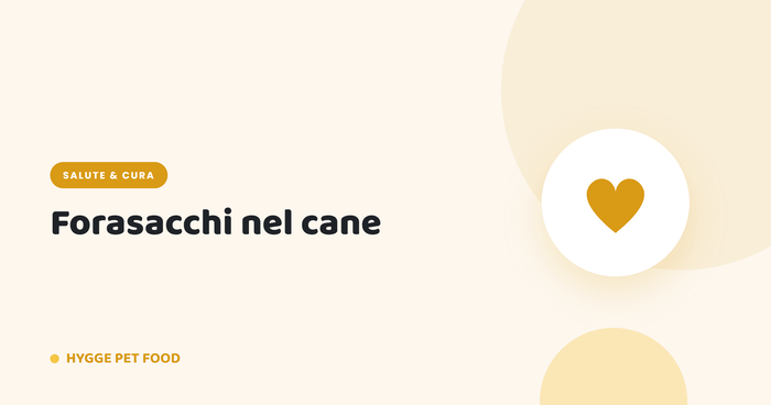Forasacchi nel cane: cosa sono, sintomi, pericoli e come proteggere il tuo cane d'estate - Hygge Pet Food
