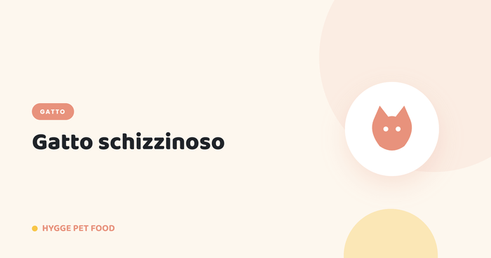 Gatto schizzinoso: come stimolare l'appetito del micio difficile con cibo appetibile - Hygge Pet Food