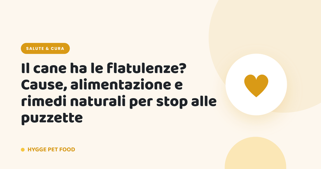 Il cane ha le flatulenze? Cause, alimentazione e rimedi naturali per stop alle puzzette - Hygge Pet Food