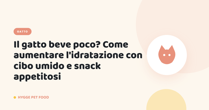 Il gatto beve poco? Come aumentare l'idratazione con cibo umido e snack appetitosi - Hygge Pet Food