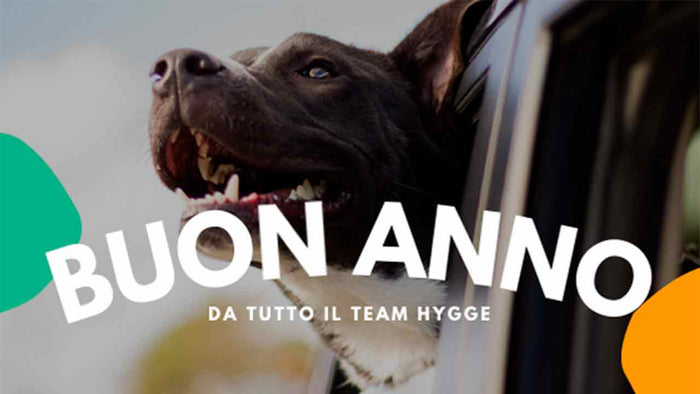 Nuovo anno, nuovi propositi! - Hygge Pet Food