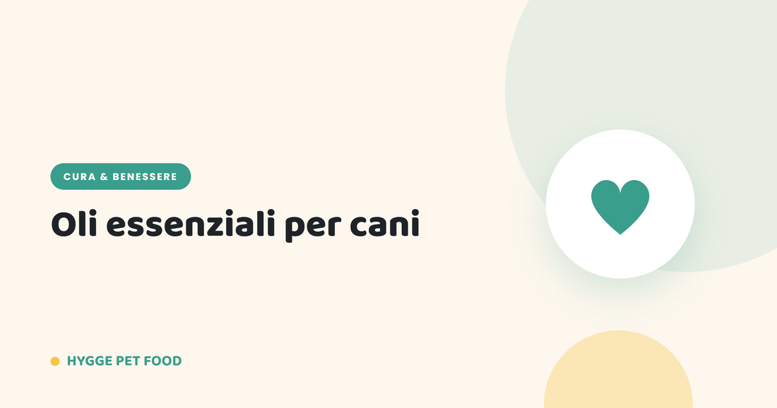 Oli essenziali per cani: quali sono sicuri e quali no - Hygge Pet Food