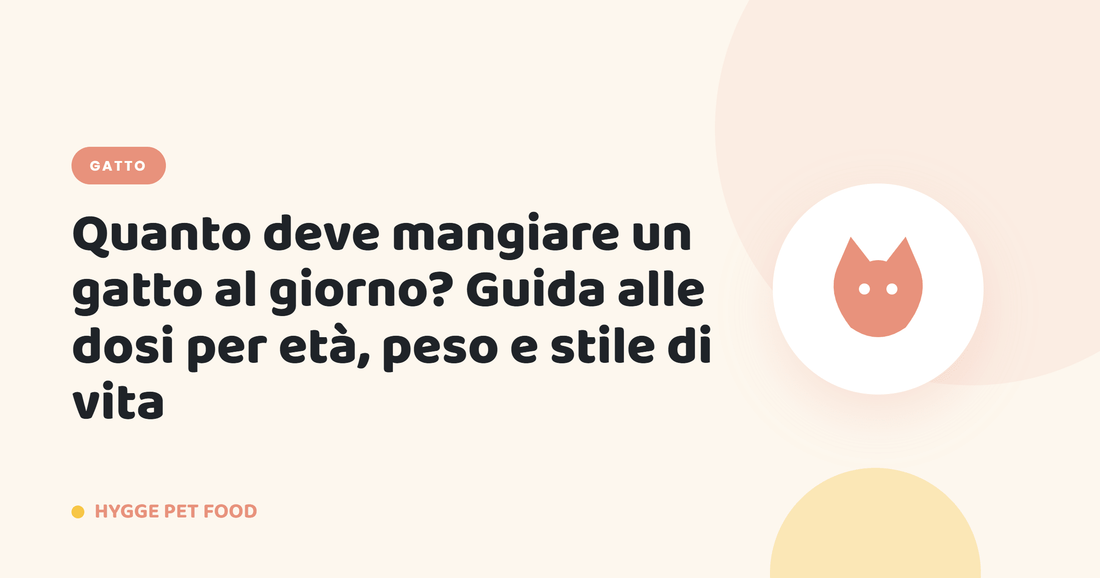 Quanto deve mangiare un gatto al giorno? Guida alle dosi per età, peso e stile di vita - Hygge Pet Food