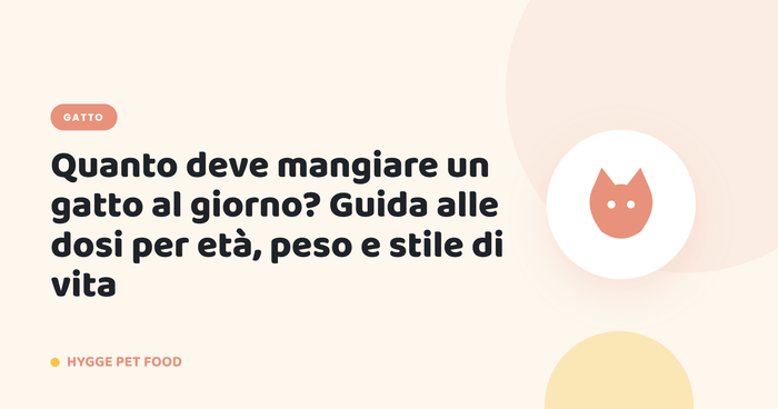 Quanto deve mangiare un gatto al giorno? Guida alle dosi per età, peso e stile di vita - Hygge Pet Food