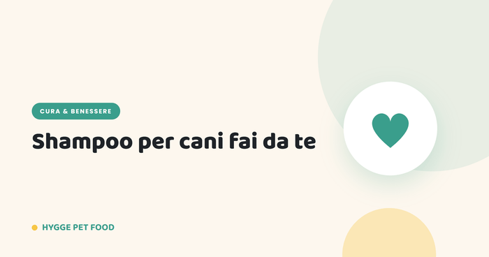 Shampoo per cani fai da te: ricette naturali e sicure - Hygge Pet Food