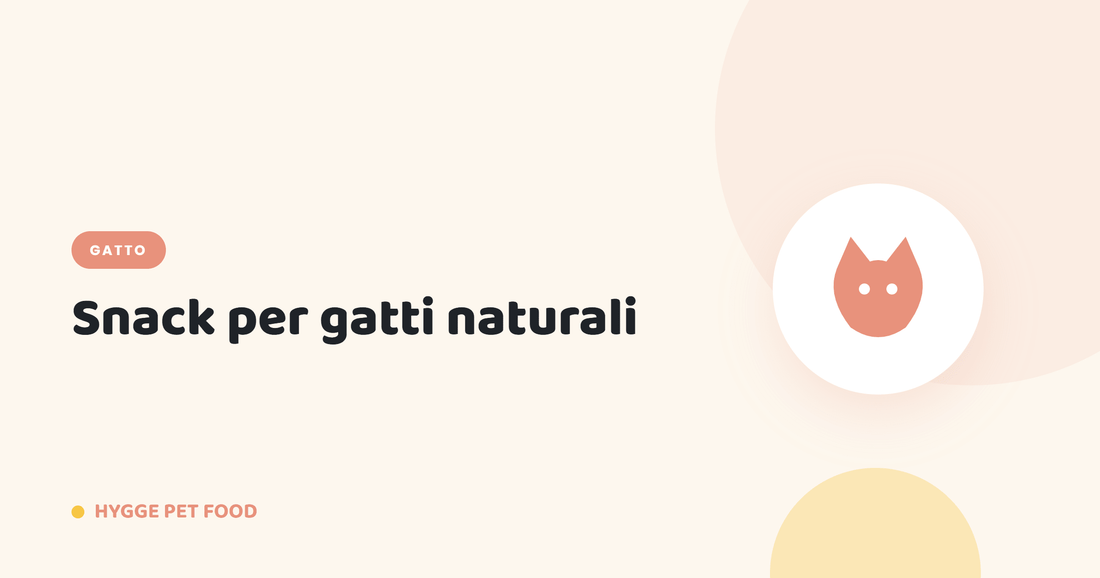 Snack per gatti naturali: premietti sani per gioco, educazione e momenti di coccole - Hygge Pet Food