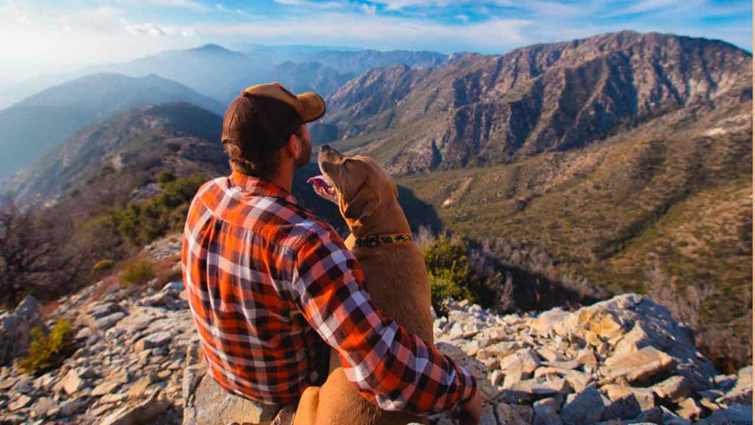 VACANZE PET FRIENDLY - Hygge Pet Food