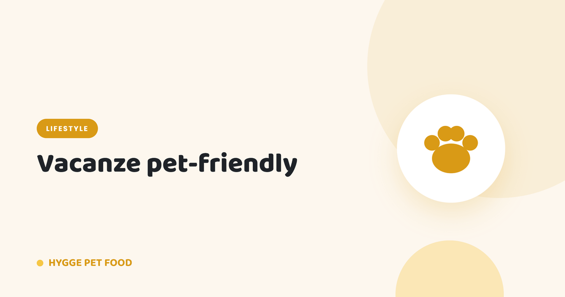Vacanze pet-friendly: viaggiare sereni con il cane - Hygge Pet Food