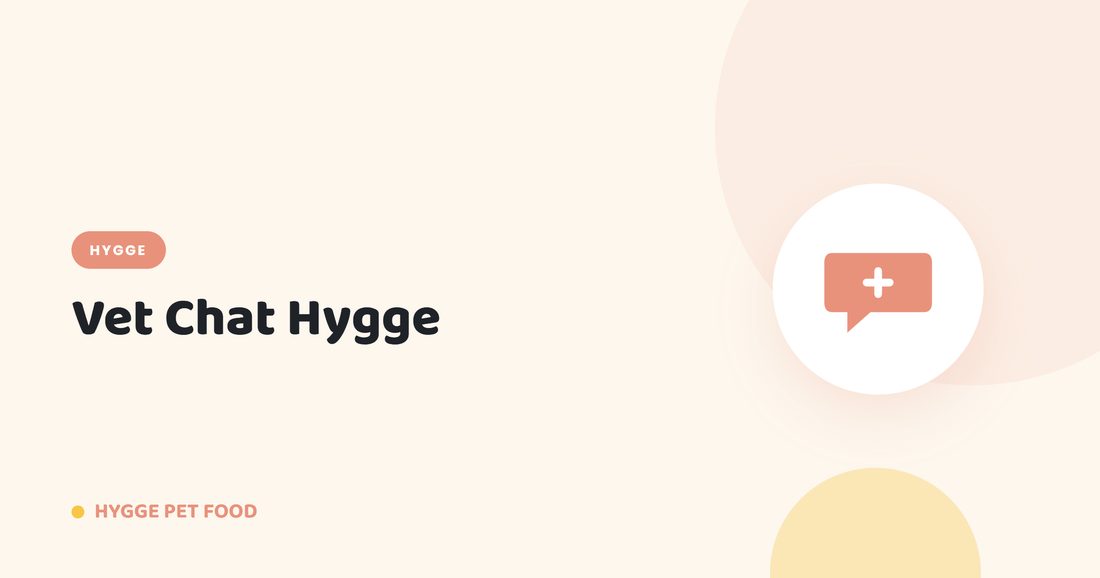 Vet Chat Hygge: la consulenza veterinaria gratuita per i tuoi dubbi su cane e gatto - Hygge Pet Food