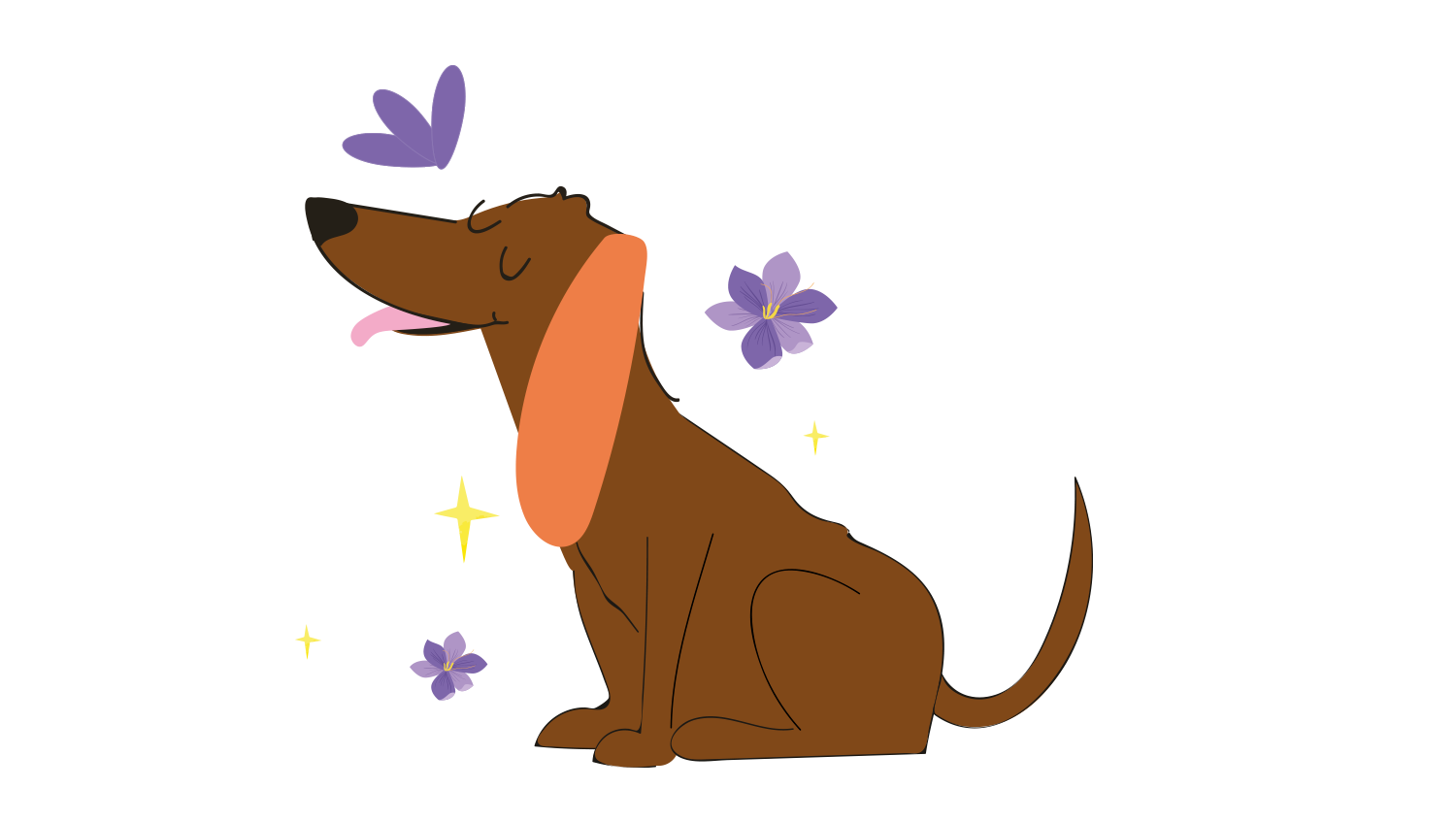 Cosmetica e Igiene Cane - Hygge Pet Food