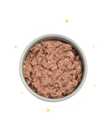 Monoproteico Puppy gustoso maiale con uovo ed erbe aromatiche