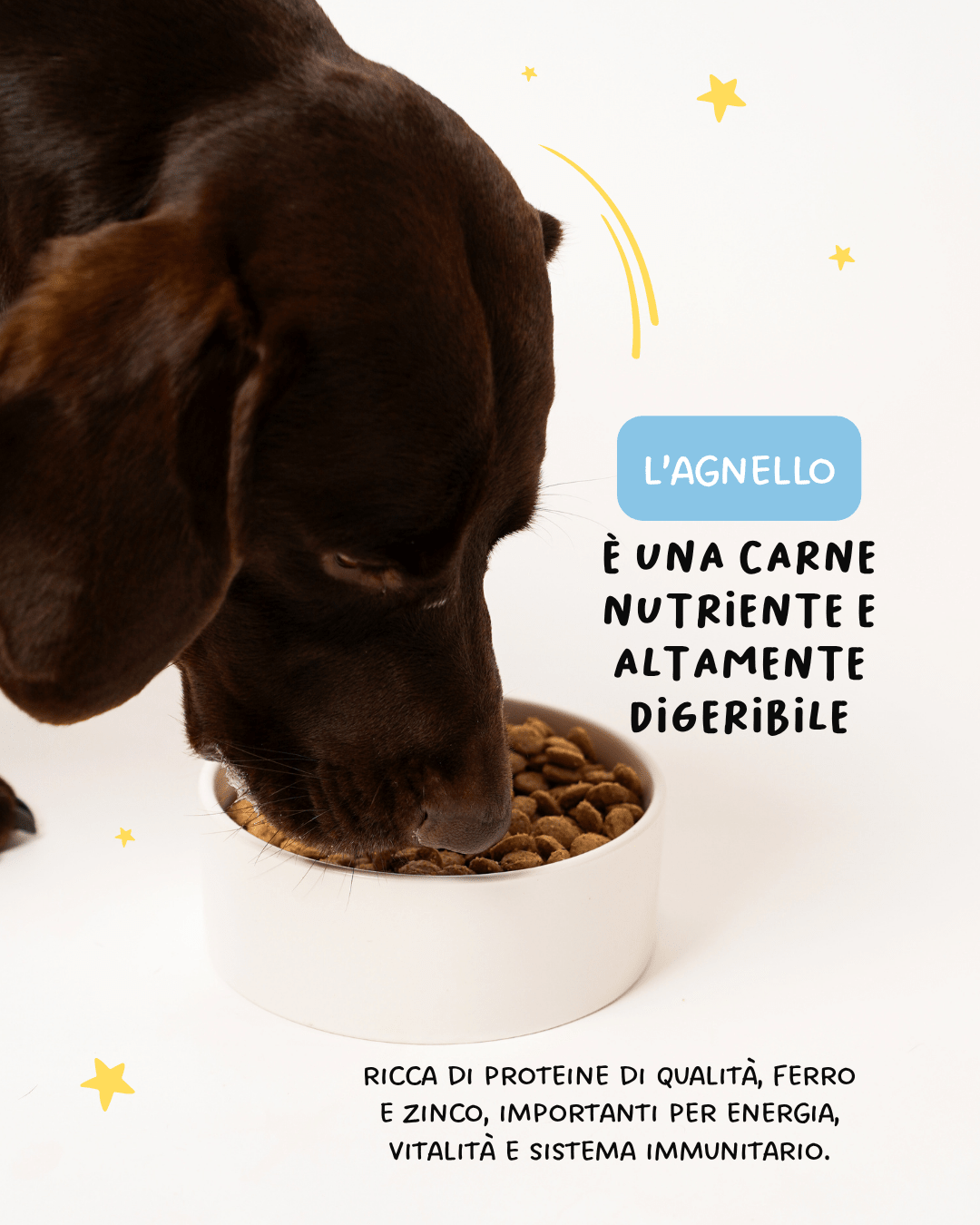 Agnello, Riso e Tapioca - Cibo Secco Cane - Hygge Pet Food