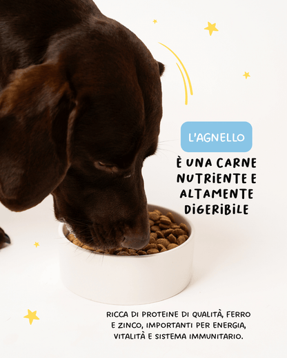 Agnello, Riso e Tapioca - Cibo Secco Cane - Hygge Pet Food