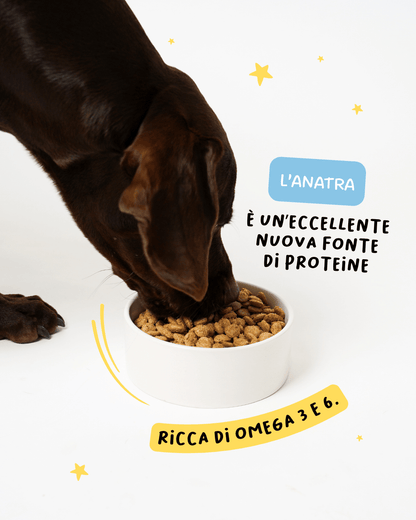 Anatra, Curcuma e Banana Chips Mini - Cibo Secco Cane - Hygge Pet Food