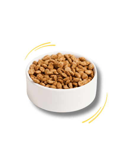 Anatra, Curcuma e Banana Chips Mini - Cibo Secco Cane - Hygge Pet Food