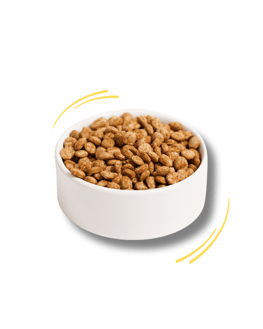 Anatra, Curcuma e Banana Chips Mini - Cibo Secco Cane - Hygge Pet Food