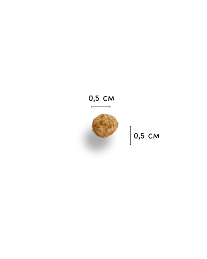 Anatra, Curcuma e Banana Chips Mini - Cibo Secco Cane - Hygge Pet Food