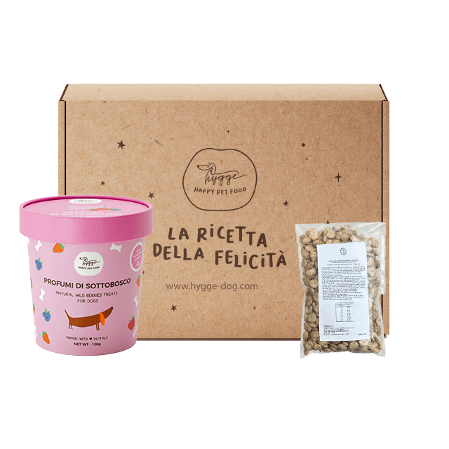 Bau Baule - Kit Prova Cane - Hygge Pet Food